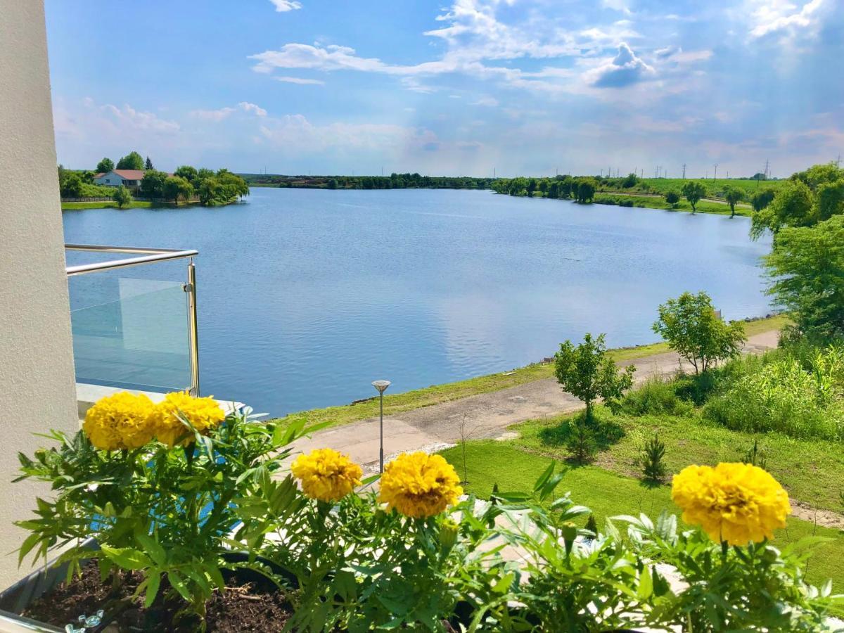 Snagov Lakeview Residences Tincabesti Buitenkant foto